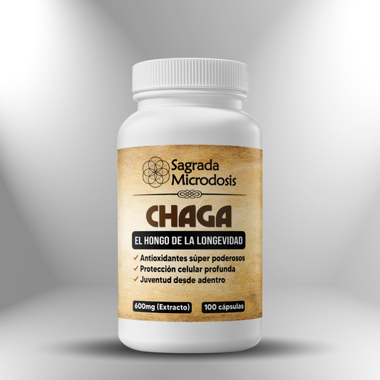 Chaga (extracto con 50% de polisacáridos) 600mg ► 100 cápsulas