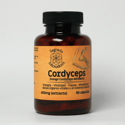 Cordyceps (Extracto 1.1) 600mg - 90 cápsulas