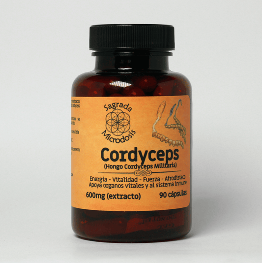 Cordyceps (Extracto 1.1) 600mg - 90 cápsulas