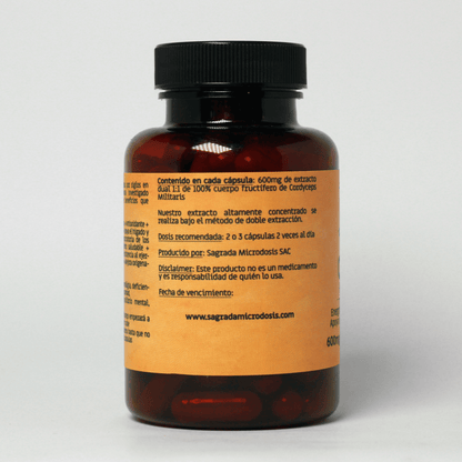 Cordyceps (Extracto 1.1) 600mg - 90 cápsulas
