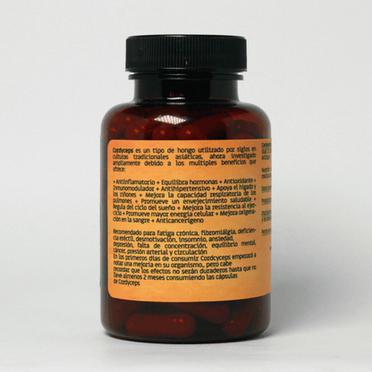Cordyceps (Extracto 1.1) 600mg - 90 cápsulas