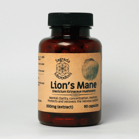 Melena de León (Extracto 10.1) 500mg - 90 cápsulas