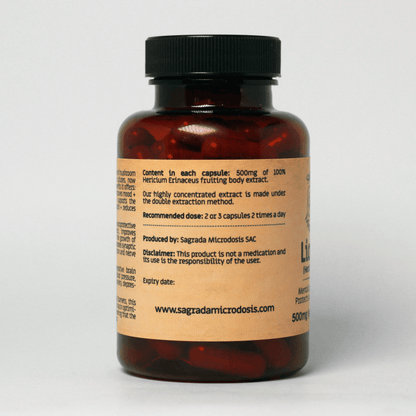Melena de León (Extracto 10.1) 500mg - 90 cápsulas