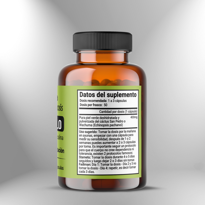 Microdose de Mescalina🌵 M07: Conexão – Orientação – Harmonia 