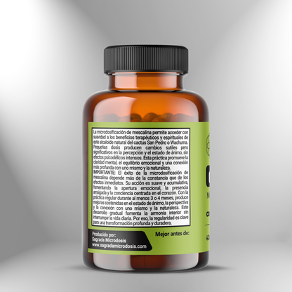 Microdose de Mescalina🌵 M07: Conexão – Orientação – Harmonia 